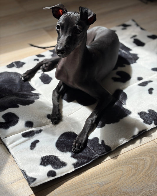 Mata podróżna Black Cow